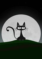 Whiskers and Wonder Cute Funny Cat