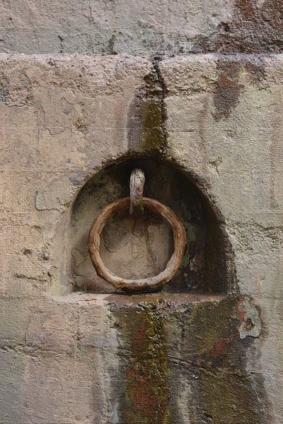 Gehavend Goed  von Ferdinand Harts