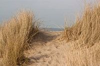 Duinpad naar zee