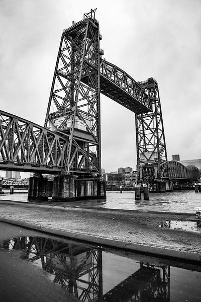 Das Hef von SVFotografie