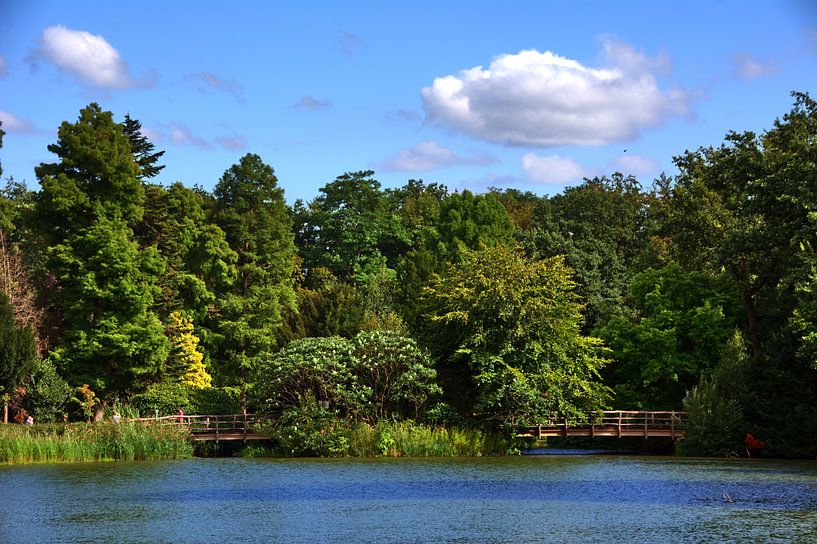 Ponts en bois par Edgar Schermaul