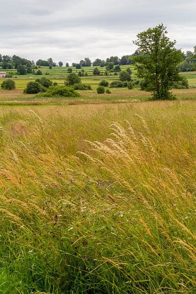 Un paysage culturel idyllique par Achim Prill