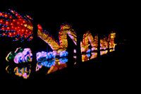 Chinese draak van licht