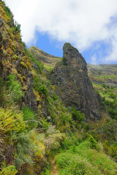 Berg par Michel van Kooten