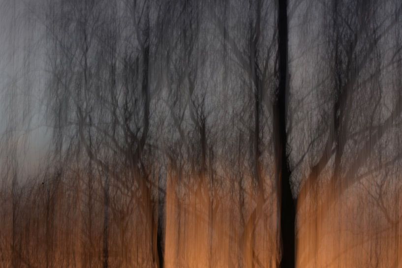 Sonnenuntergang von Ivette Braem