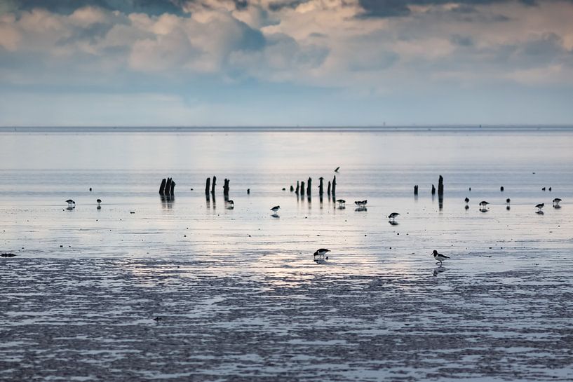 Ebbe von Marieke_van_Tienhoven