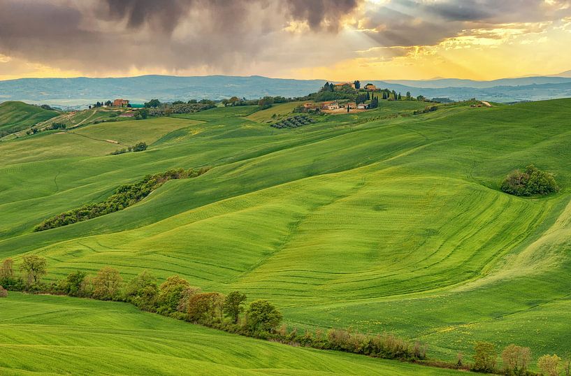 Tuscan landscape in Val D' Orcia by Ilya Korzelius