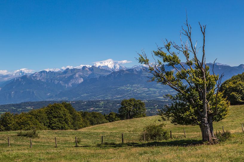 Haute-Savoie, France by Peter Leenen