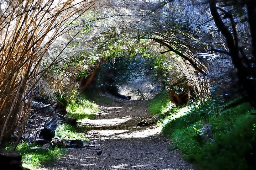 Natural beauty of the Circuit Chico in Bariloche by Frank Photos