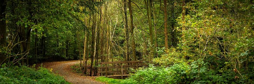 Bospad met bruggetje in de herfst (panoramafoto, HR) von Fotografie Jeronimo