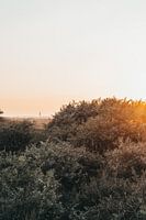 Der Leuchtturm von Ouddorp (vertikal)