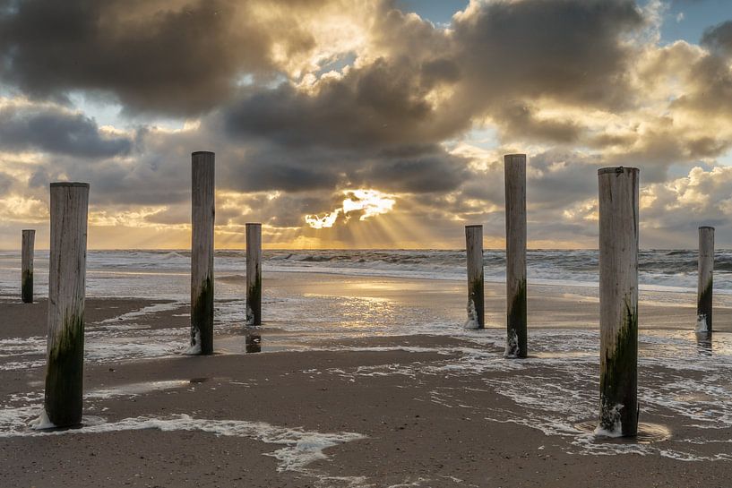 Palmendorf Petten bei Sonnenuntergang. von Menno Schaefer