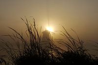 Molen tijdens zonsopkomst.