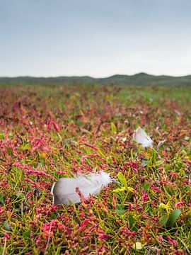 Der Slufter, Texel von Johanna Blankenstein