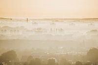 Leuchtendes Orange in Utrecht