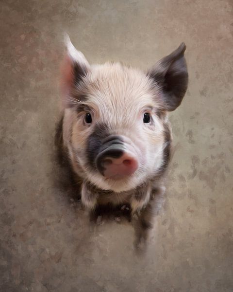 Tier 5 von Silvia Creemers