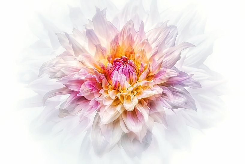 Dream Dahlia by Marlika Art
