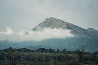 Reise durch Afrika und den Dschungel von Guinea zum Berg Nimba