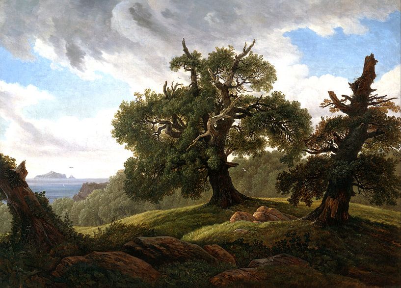 Carl Gustav Carus.Landscape along the Elbe by 1000 Schilderijen