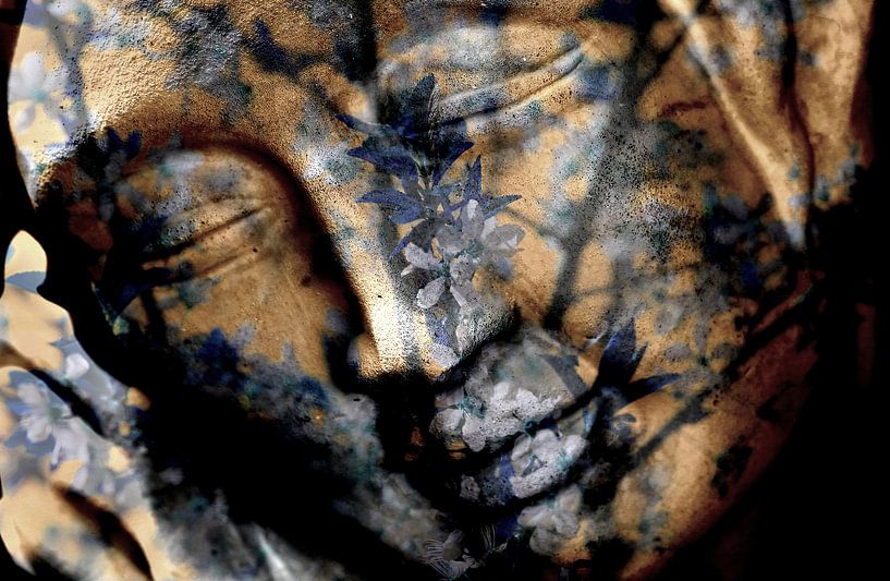 Sleeping forever van Roswitha Lorz