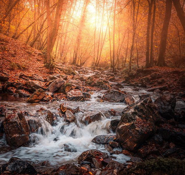 Ninglinsplo von Andreas Vanhoutte