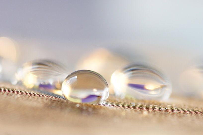 Dream by Carla Mesken-Dijkhoff