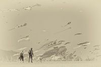 Renesse kite festival