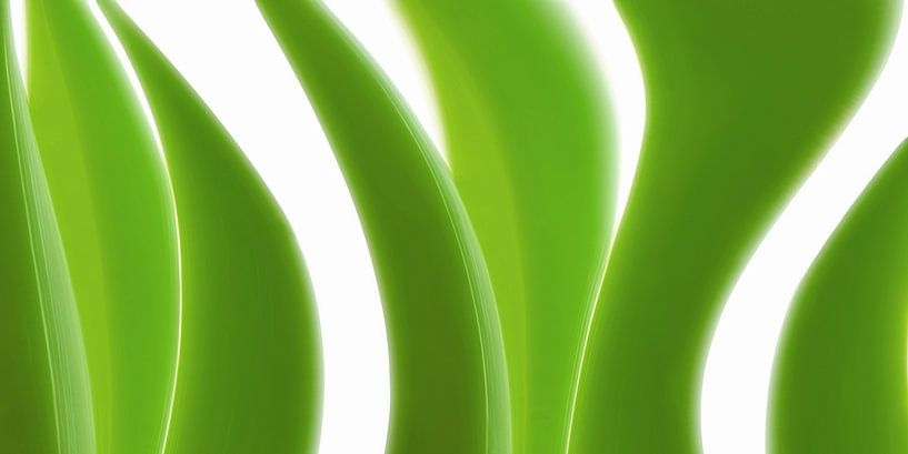 Abstrakt Grün von Violetta Honkisz