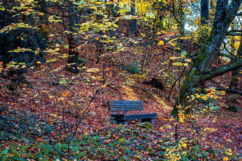 Baden-Wuerttemberg : The lonely bench by Photoart-Naegele