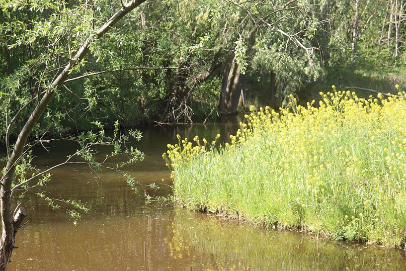 Stilleben in Abtswoude von Dick Schouten