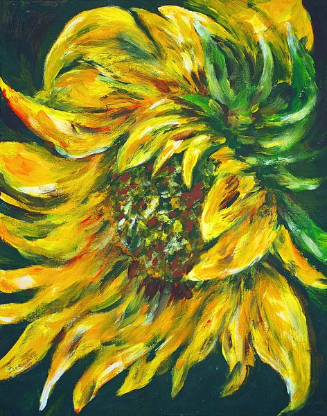 Sunflower. by Ineke de Rijk