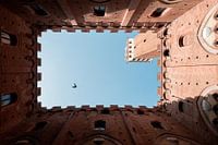 Town Hall of Siena | a trip through Italy