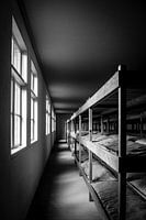 Baracken im NM-Lager Vught