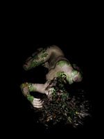 Die menschliche Natur - Portrait Erde