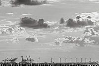 Industriële schoonheid