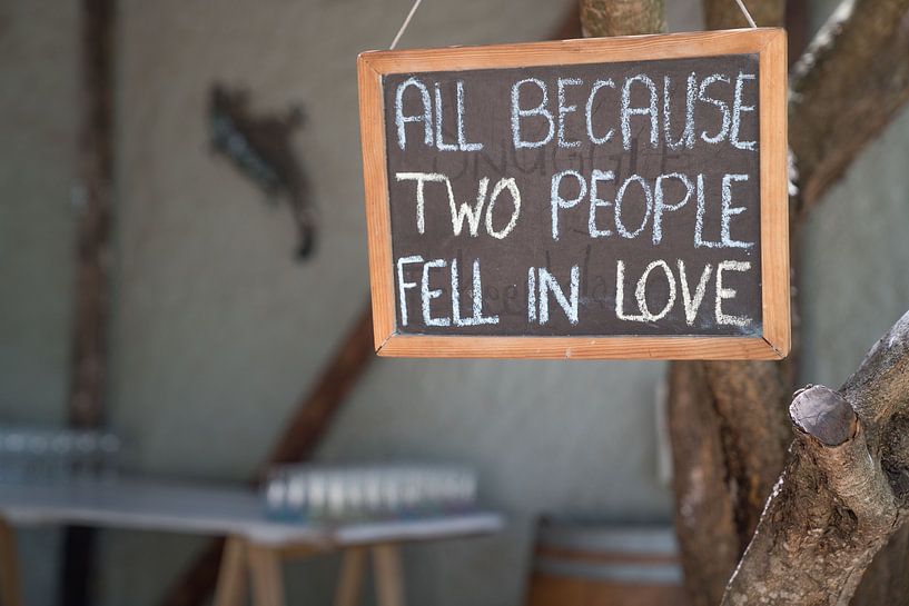 Camps d'Afrique par Marion Meyer