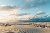 Ripples in the sand near Midsland aan Zee - Terschelling
