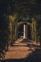 An Eye-Wink in Eternal Elegance | Kasteel de Haar | Haarzuilens | Utrecht | Holland | Europe