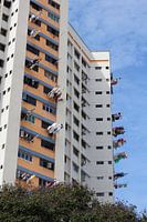 Trockne die Wäsche (3)