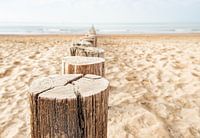Strandpalen rij richting zee bij Domburg in Zeeland.
