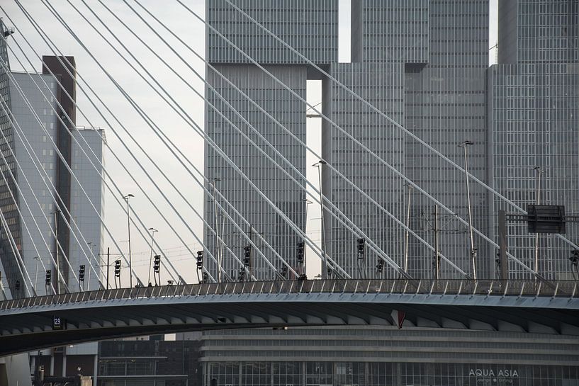 Rotterdam by Tim Vlielander