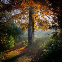 Hiking trail along Berk with autumn leaves
