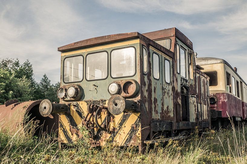 Abandoned Locomotive by Art By Dominic