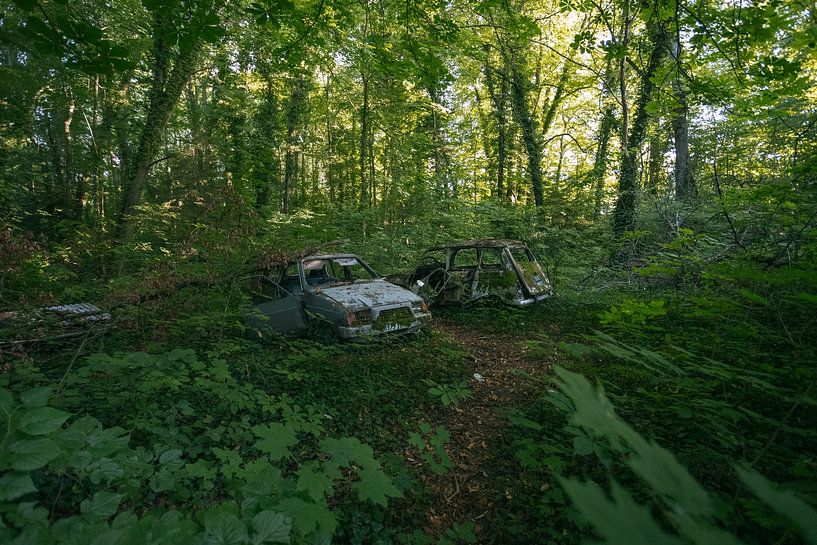 Abandoned cars in the woods near a derelict house. by Het Onbekende