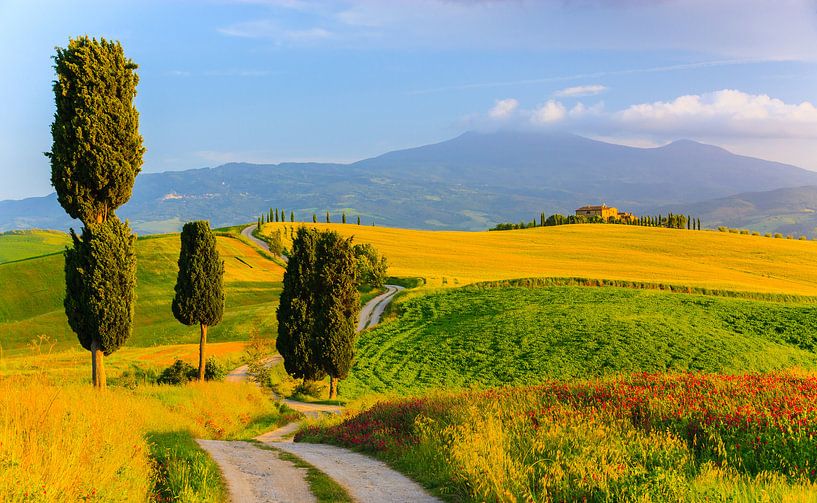 Agriturismo Podere Terrapille. Tuscany, Italy by Henk Meijer Photography