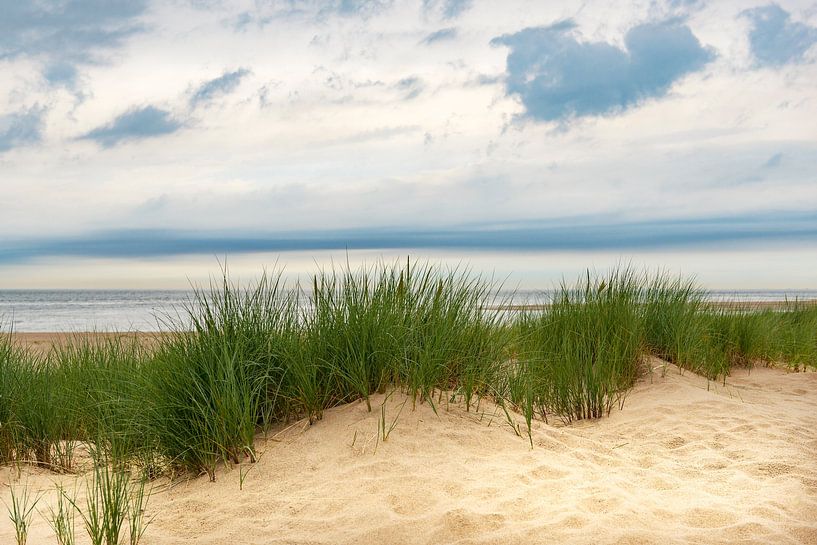 Vue depuis les dunes sur la plage de sable du littoral de la mer du Nord par Sjoerd van der Wal Photographie