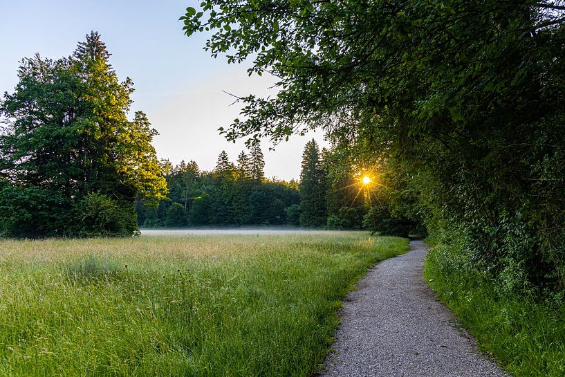 Sonnenstern von W.Schriebl PixelArts