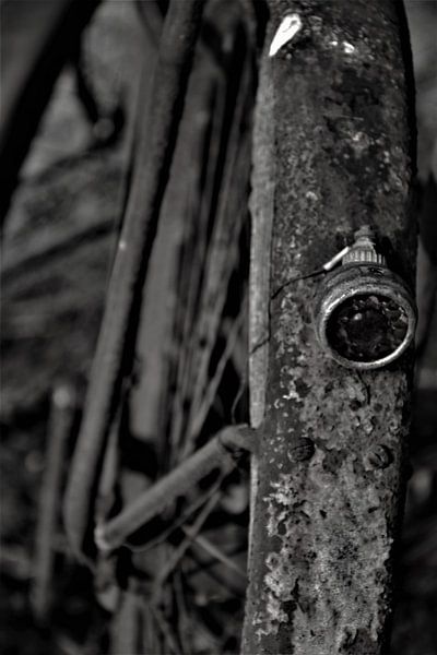 taillight from old bike by José Batterink