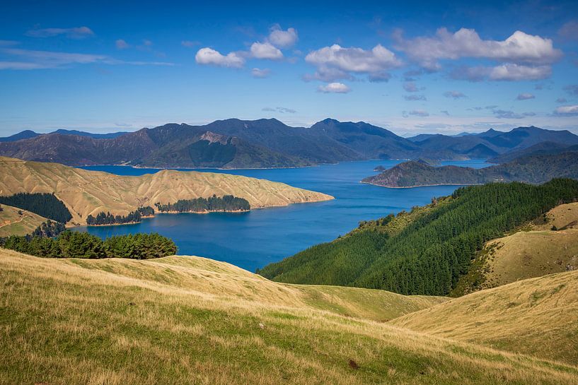 Marlborough Sounds von Antwan Janssen