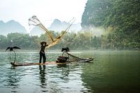 Visser met  aalscholvers.